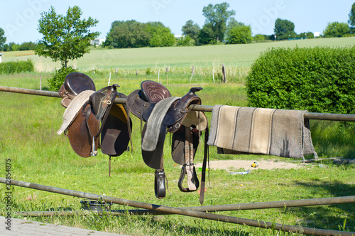 Horse harness hangs on a fence