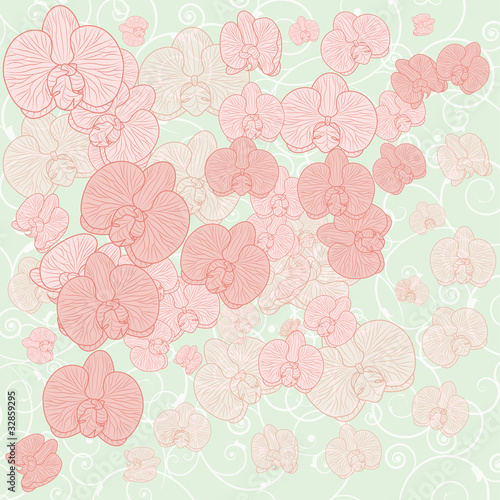 orchid background
