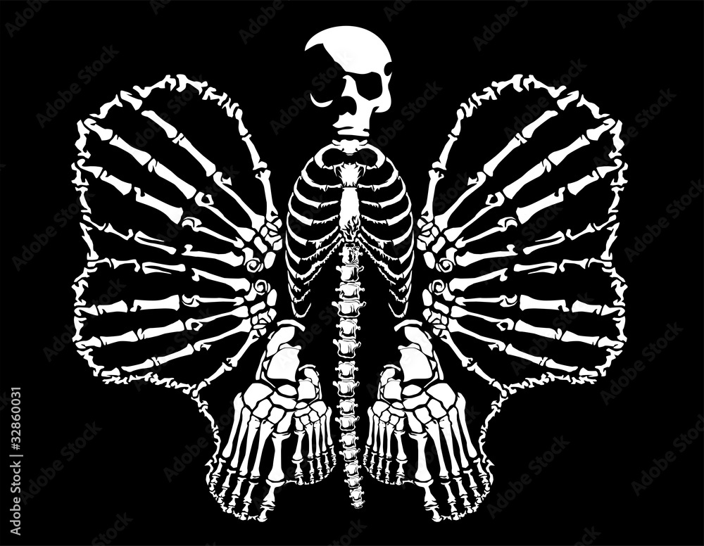 bone butterfly bone butterfly