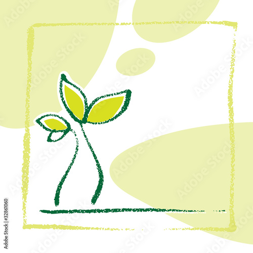 Young little plant seedling