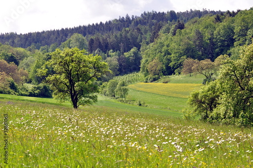 Das müssen wir erhalten photo