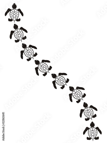 Tortuga