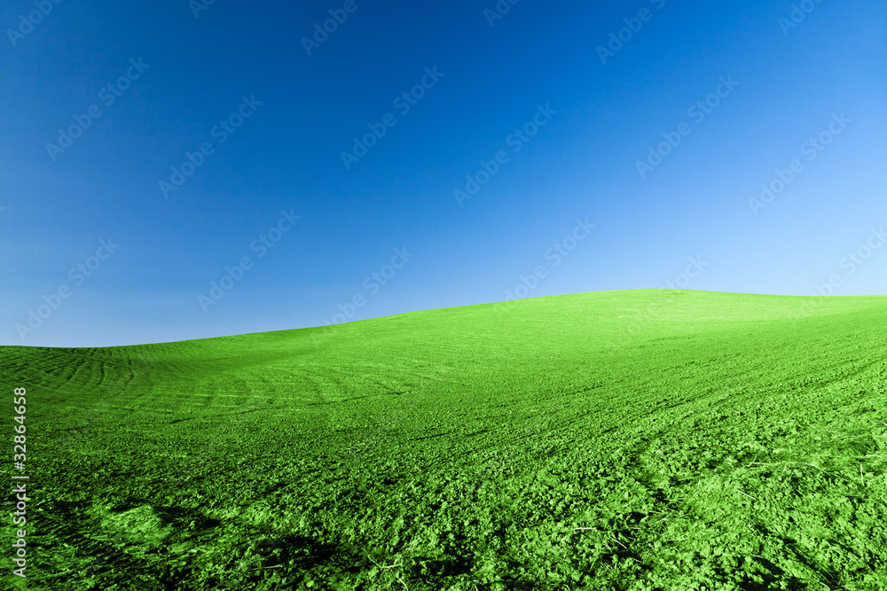 Green Horizont Landscape rock hill