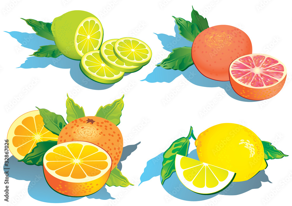 Set of citrus fruits - lemon, orange, grapefruit and lime. Set of citrus fruits - lemon, orange, grapefruit and lime.