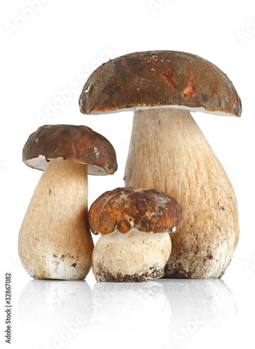 Tre funghi porcini - Three Boletus Edulis mushrooms #32867082