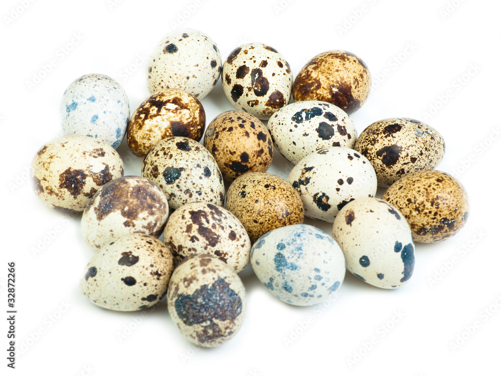 Quail eggs isolated on white the background