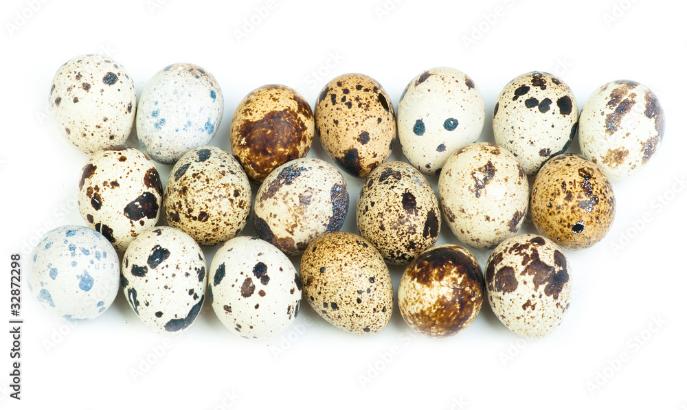 Quail eggs isolated on white the background Quail eggs isolated on white the background