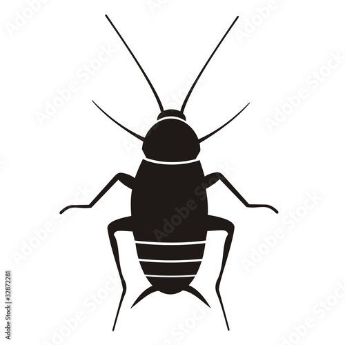 Cucaracha