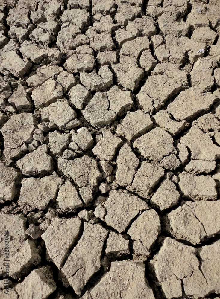 Fototapeta premium dried mud in river bed