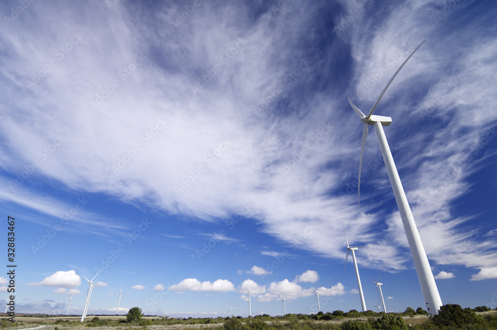 Fototapeta premium windmills