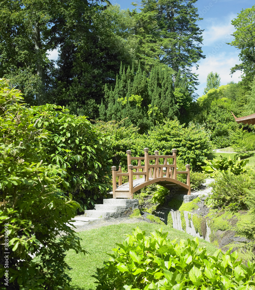 Japanese Garden, Powerscourt Gardens, County Wicklow, Ireland Japanese Garden, Powerscourt Gardens, County Wicklow, Ireland