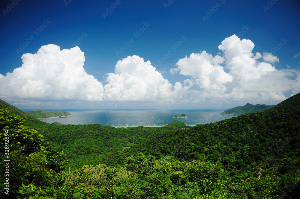 Green forest with blue sky and white clouds Stock Photo | Adobe Stock