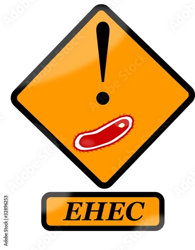 Escherichia coli - EHEC