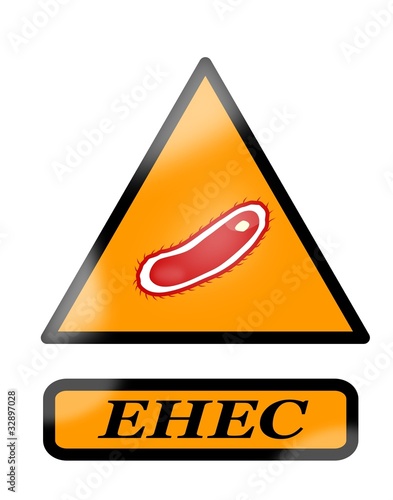 Escherichia coli - EHEC