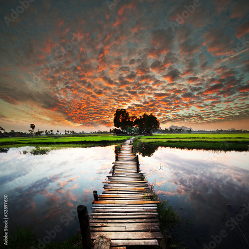 Fototapeta samoprzylepna most prowadzący do drzew przez rzekę na tle zachodzącego słońca