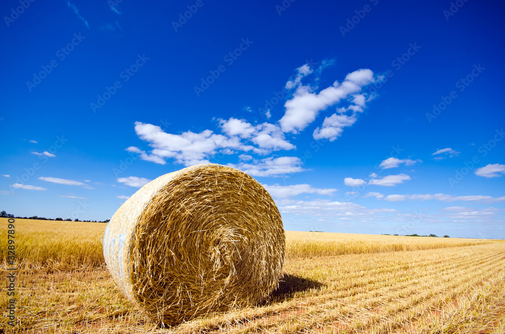 Golden Hay Bale in the countryside on a perfect sunny day