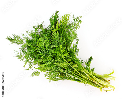 Dill isolated on white background