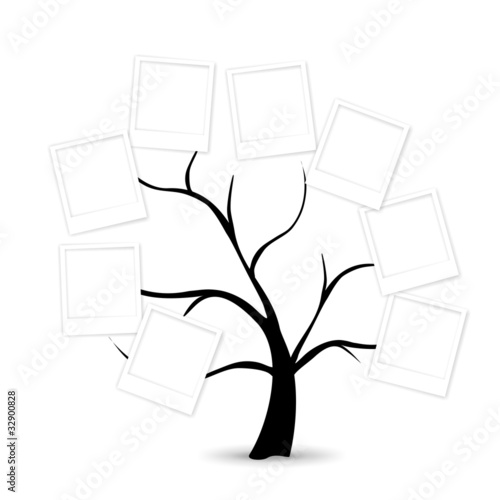 ARBOL GENEALOGICO