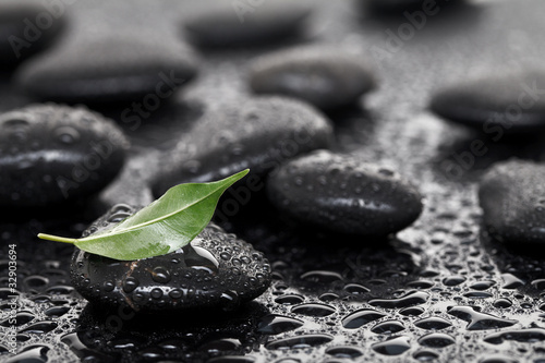 Massage stones with leaf