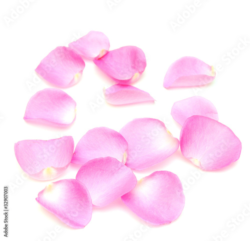 rose petals border