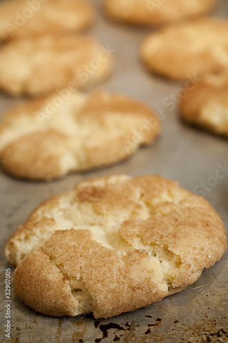 snicker-doodles on cookie sheet