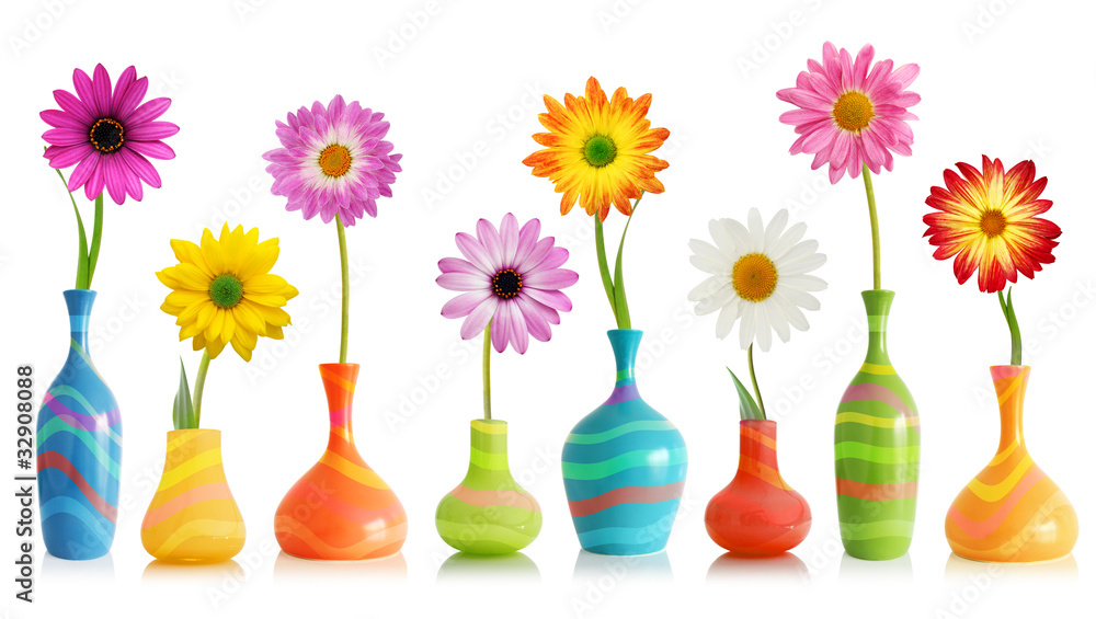 Daisy flowers in vases - obrazy, fototapety, plakaty 
