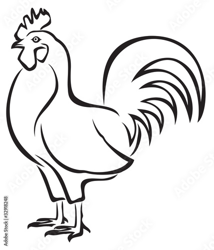 Rooster