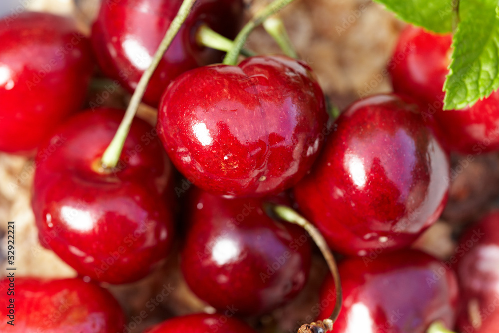 bunch of fresh,juicy, ripe cherries, shallow dof bunch of fresh,juicy, ripe cherries, shallow dof