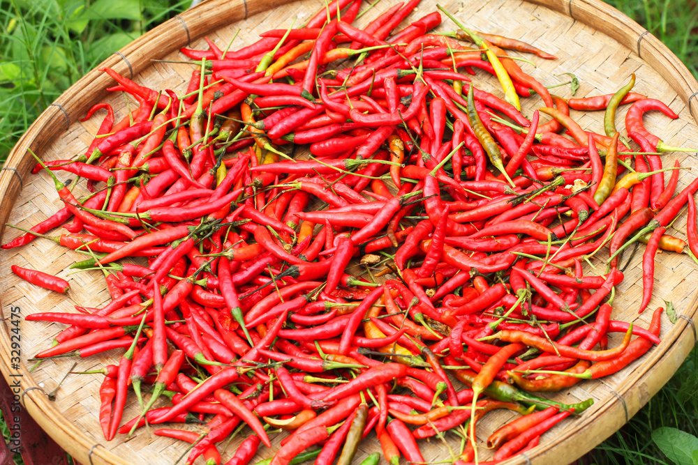 Naklejka premium Chilies, Thailand.