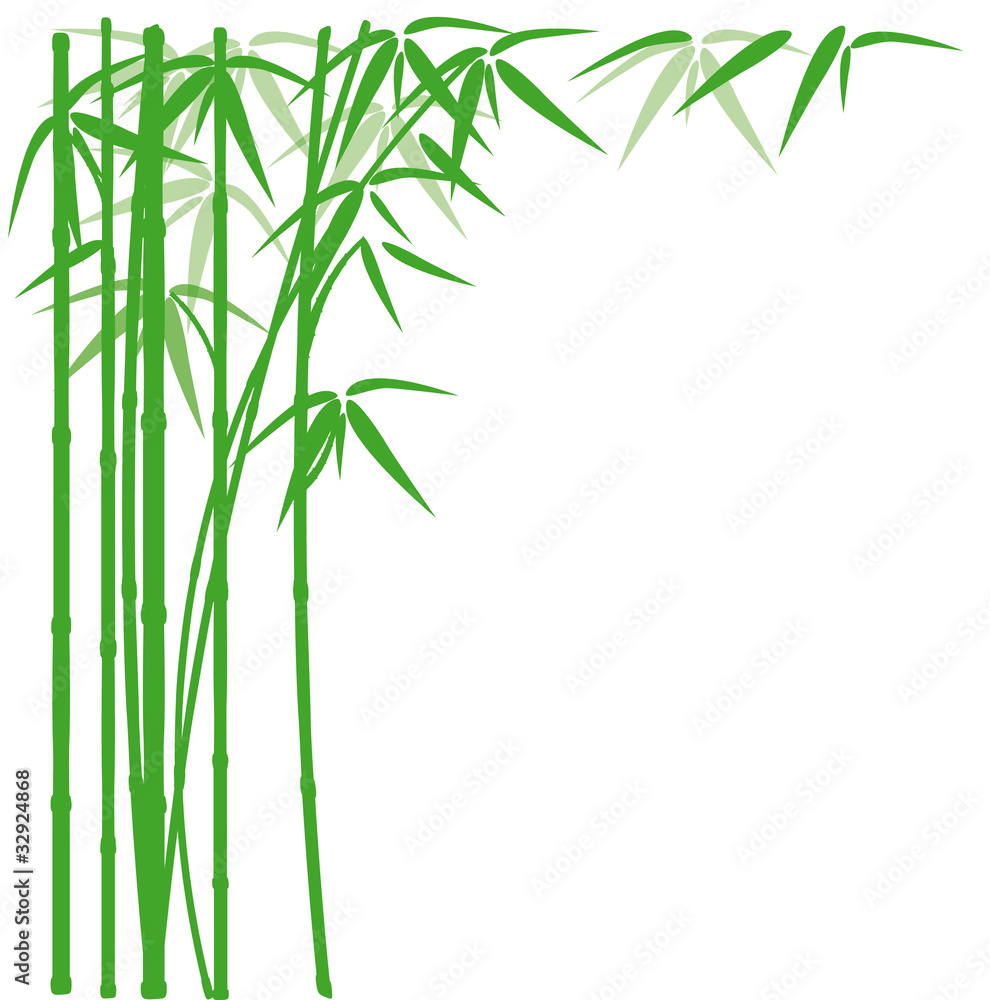 green bamboo backdround green bamboo backdround
