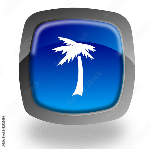 Palm button