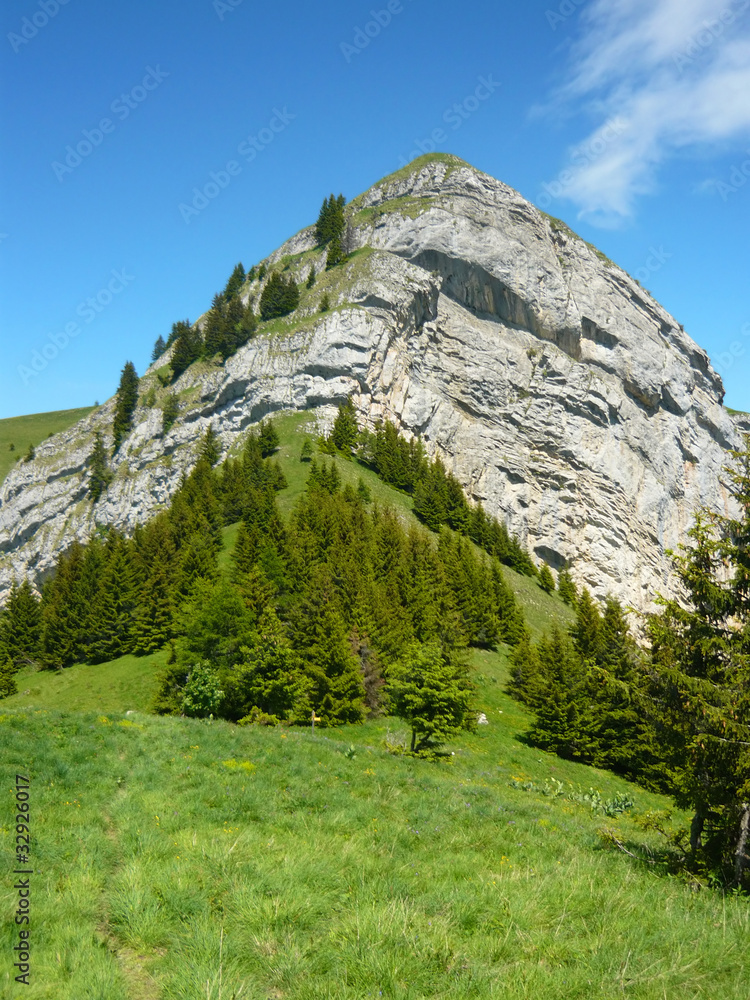 Le Grand Roc (1 814 m), dans les Bauges (Alpes)
