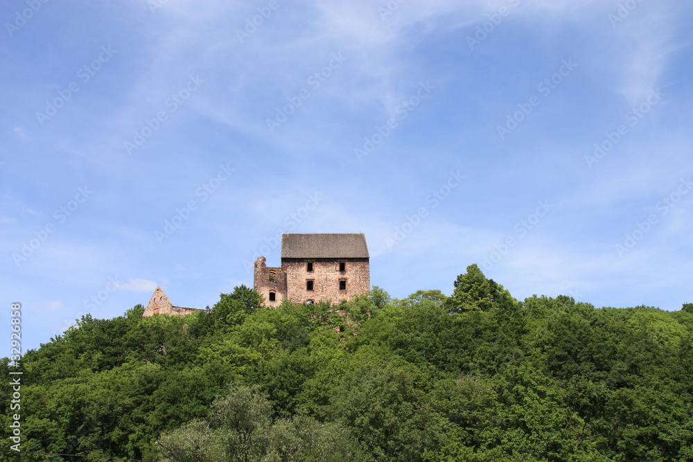 Swiny Castle in Poland. View from the neighboring hills.