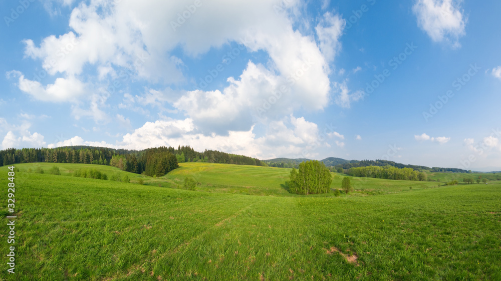 Landscape with meadows and forest