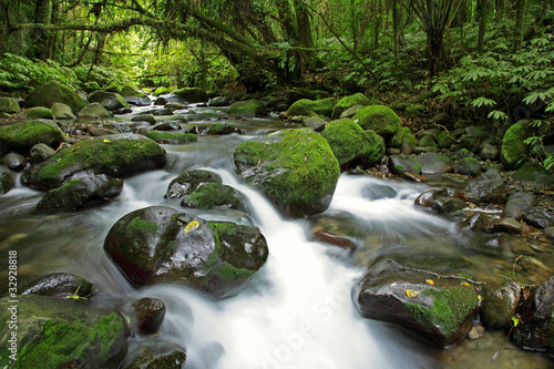 Water flowing between moss covered rocks in stream. Green tropical forest jungle