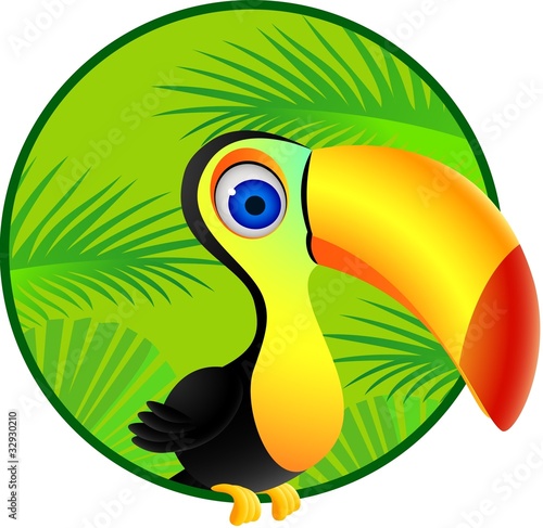Toucan cartoon
