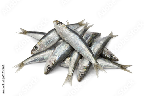 Fresh raw sardines photo