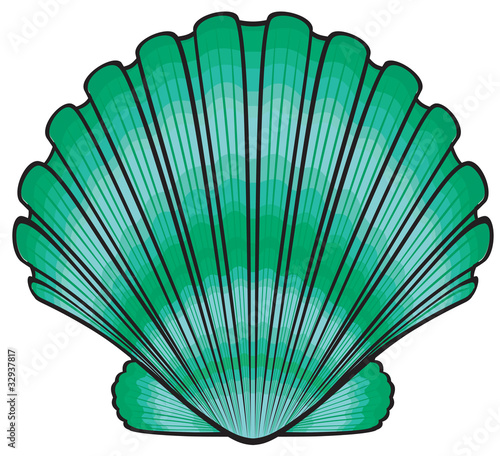 Vector Seashell