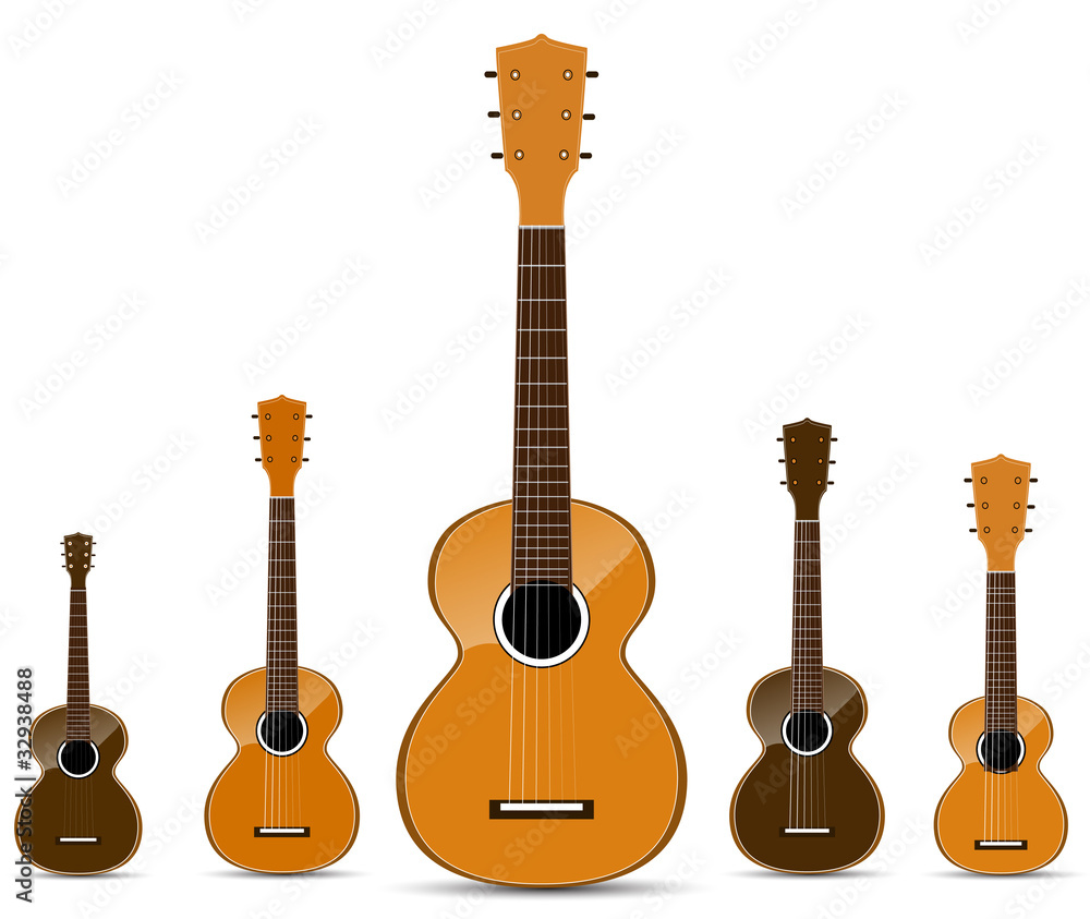 Naklejka premium set of classical acoustic guitar isolated on white background
