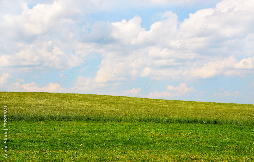 Meadow with white clouds on blue sky