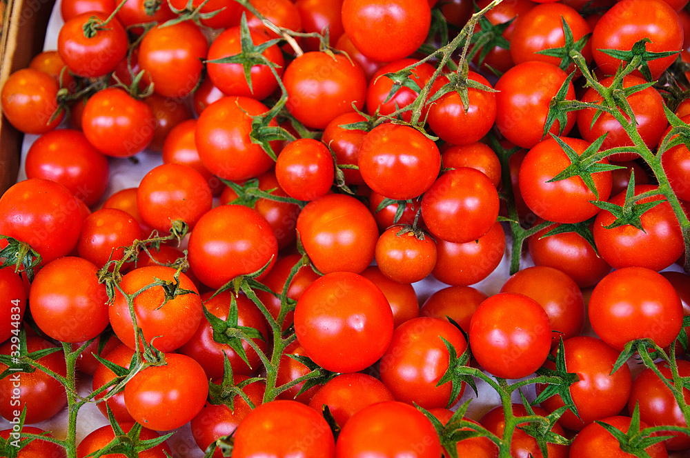 Bunch of Small Cherry Vine Tomatoes in Market