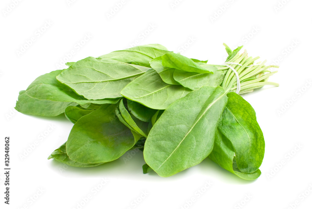 sorrel sorrel