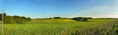 Wide panorama view of summer meadow with small village