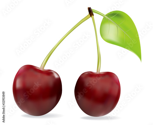 Vector ripe cherries with leave