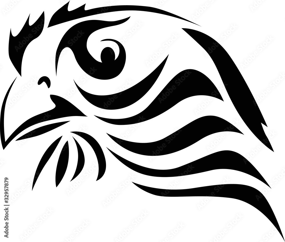 abstract eagle portrait on whit abstract eagle portrait on whit