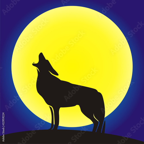 wolf