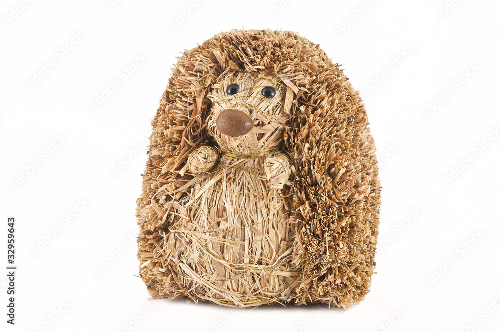 Obraz premium hedgehog