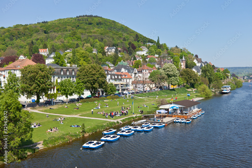 Neckarwiese Heidelberg im Sommer