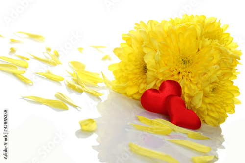 Yellow chrysanthemums with two red hearts photo