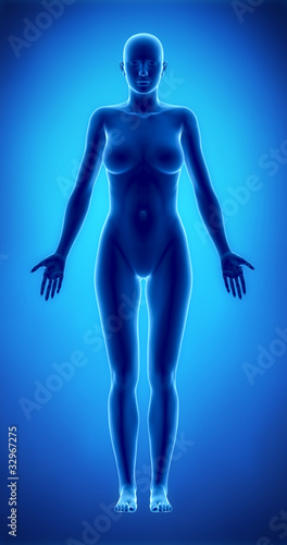 Female figure in anatomical position anteriror view